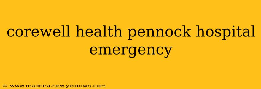 corewell health pennock hospital emergency