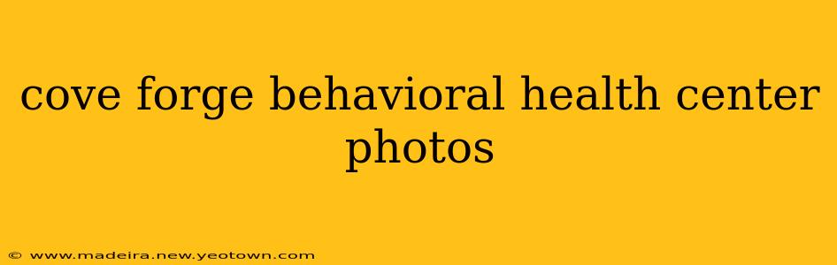 cove forge behavioral health center photos
