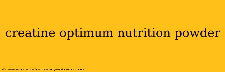 creatine optimum nutrition powder