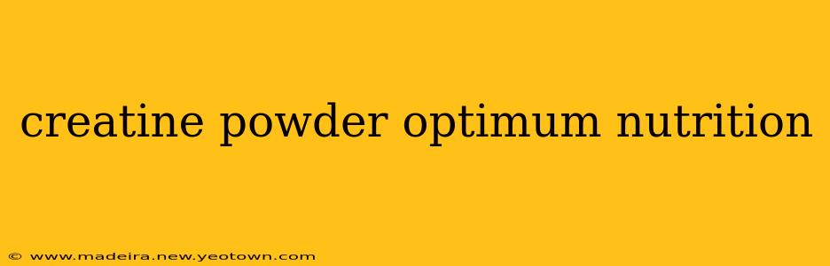 creatine powder optimum nutrition