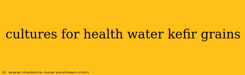 cultures for health water kefir grains