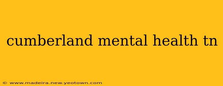 cumberland mental health tn