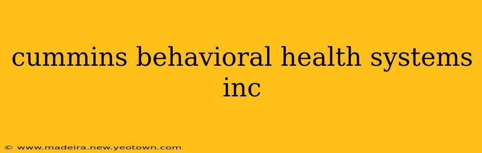 cummins behavioral health systems inc