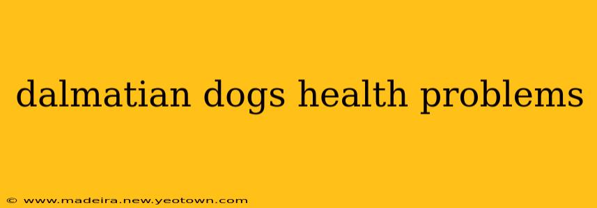 dalmatian dogs health problems