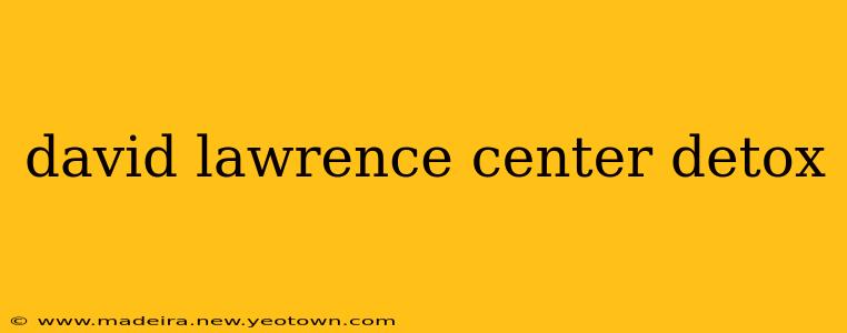 david lawrence center detox