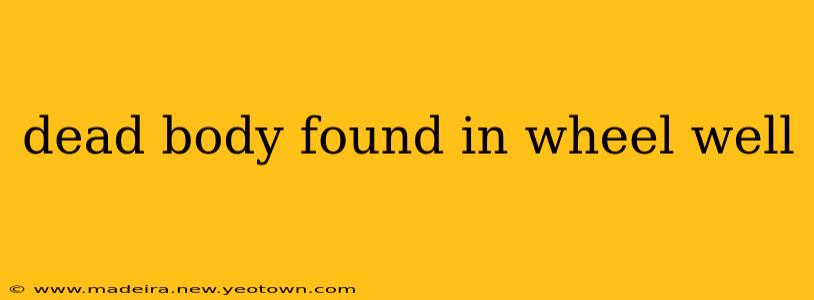 dead body found in wheel well