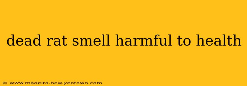 dead rat smell harmful to health