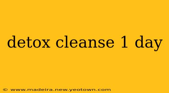 detox cleanse 1 day