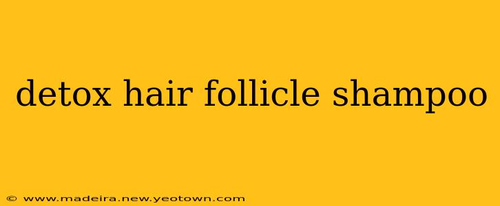 detox hair follicle shampoo