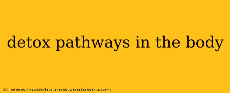 detox pathways in the body