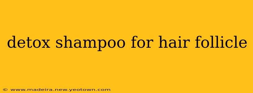 detox shampoo for hair follicle