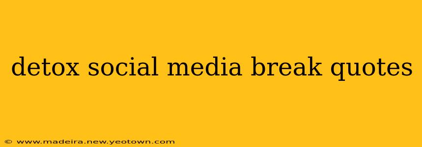 detox social media break quotes