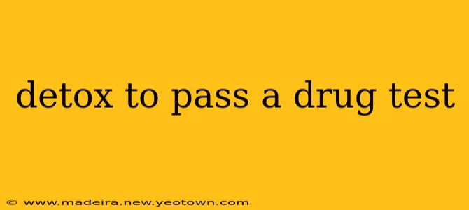 detox to pass a drug test