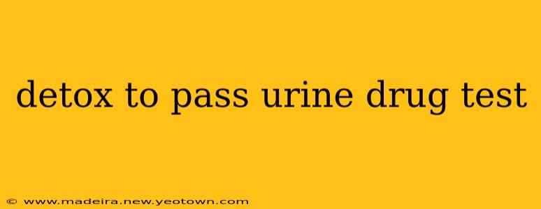 detox to pass urine drug test