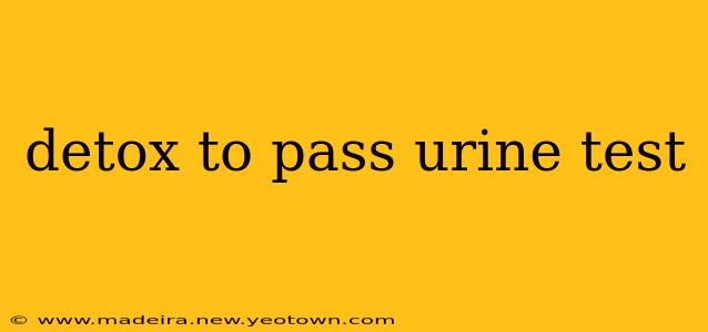 detox to pass urine test