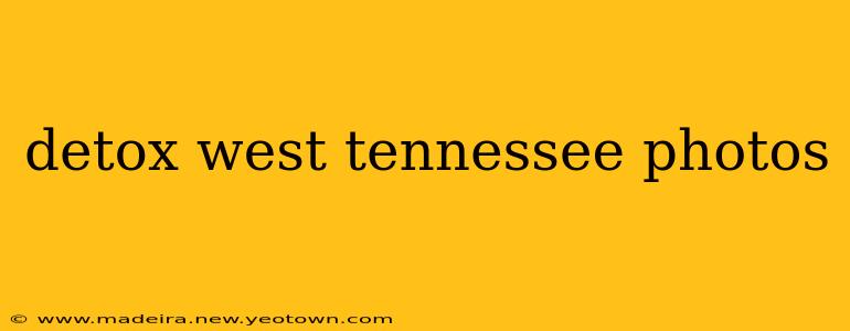 detox west tennessee photos