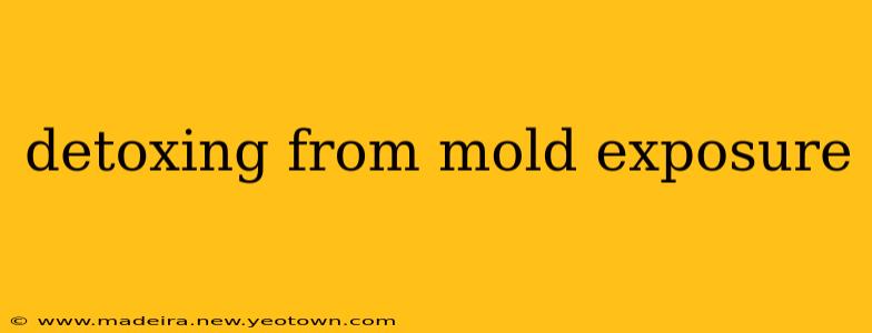 detoxing from mold exposure
