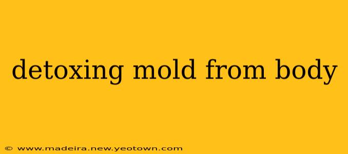 detoxing mold from body