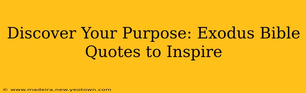 Discover Your Purpose: Exodus Bible Quotes to Inspire