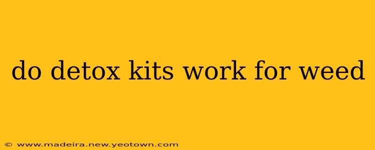 do detox kits work for weed
