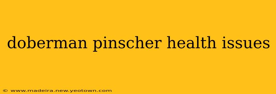 doberman pinscher health issues