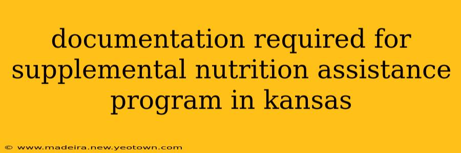 documentation required for supplemental nutrition assistance program in kansas