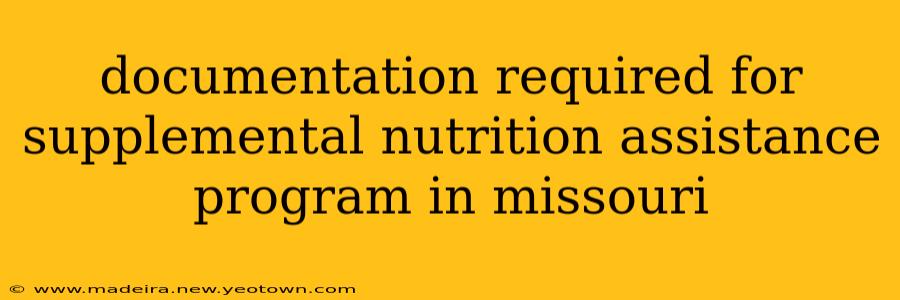 documentation required for supplemental nutrition assistance program in missouri