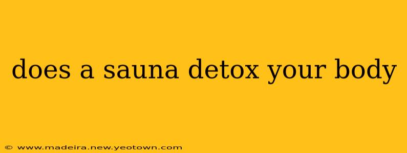 does a sauna detox your body