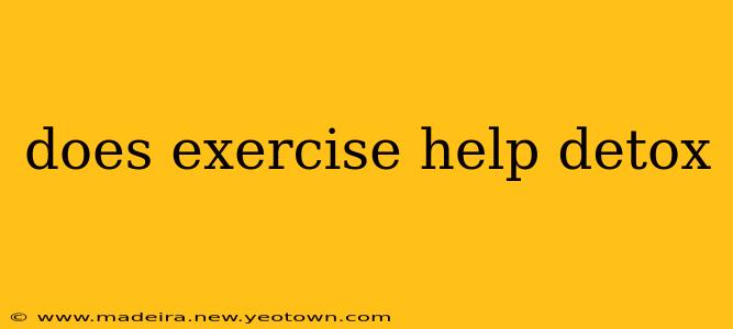 does exercise help detox