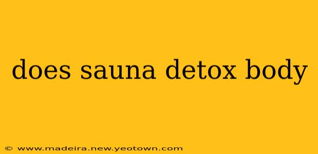 does sauna detox body