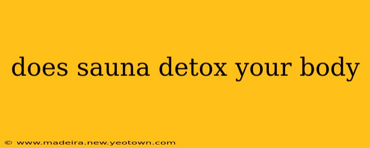 does sauna detox your body