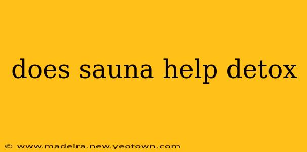 does sauna help detox