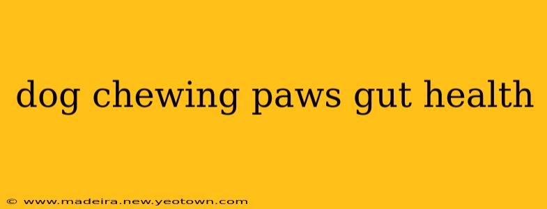 dog chewing paws gut health