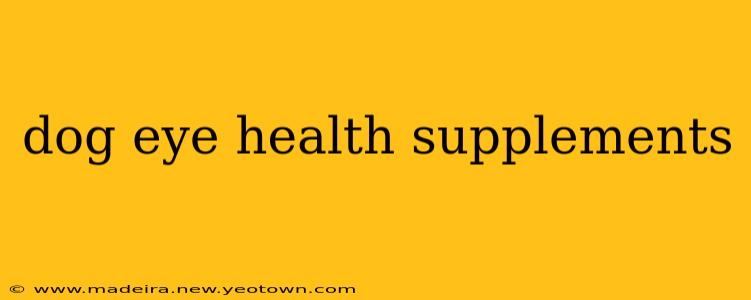 dog eye health supplements