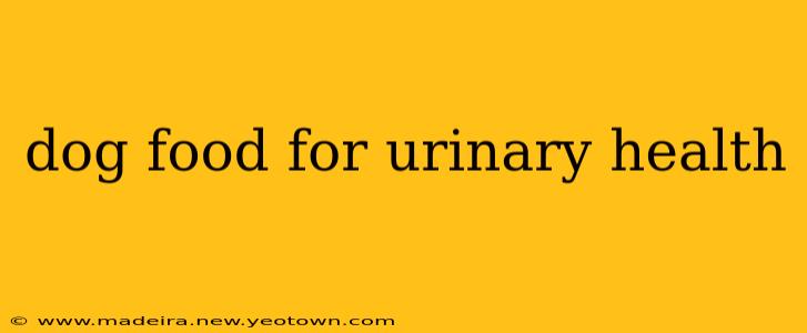 dog food for urinary health