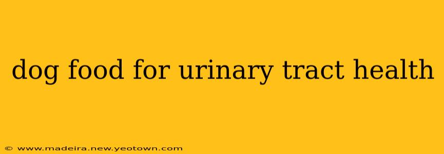 dog food for urinary tract health