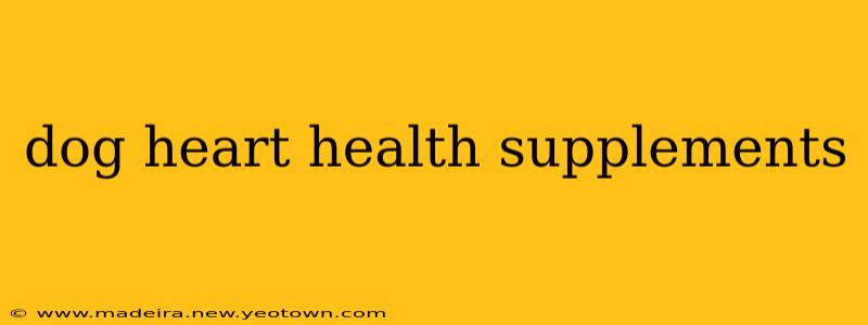 dog heart health supplements
