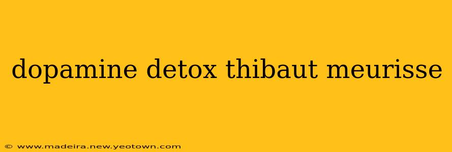 dopamine detox thibaut meurisse