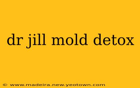dr jill mold detox