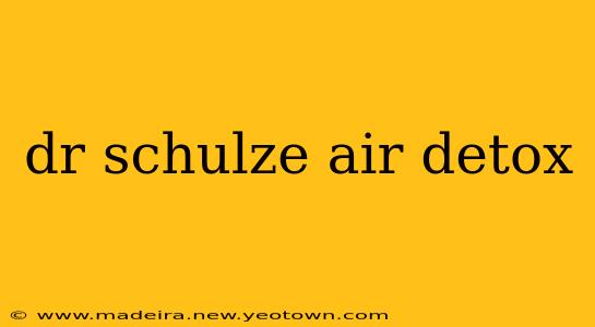 dr schulze air detox