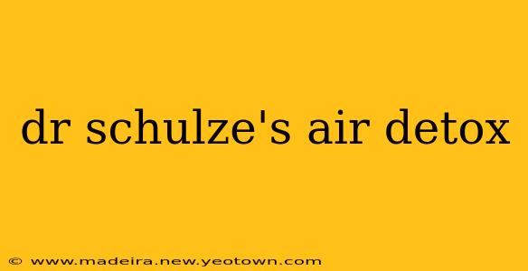 dr schulze's air detox