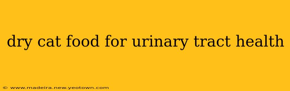 dry cat food for urinary tract health