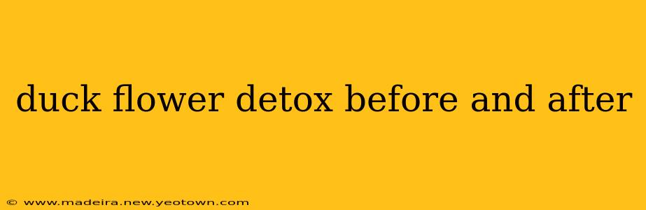 duck flower detox before and after
