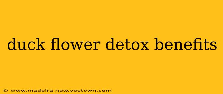 duck flower detox benefits