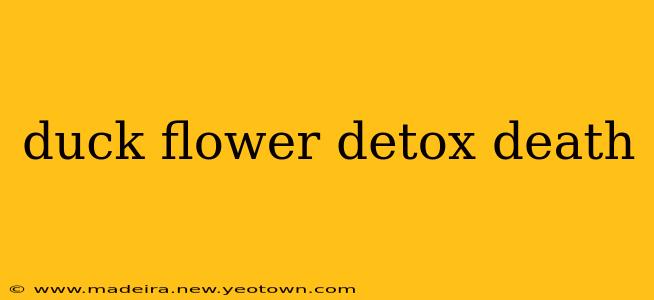 duck flower detox death