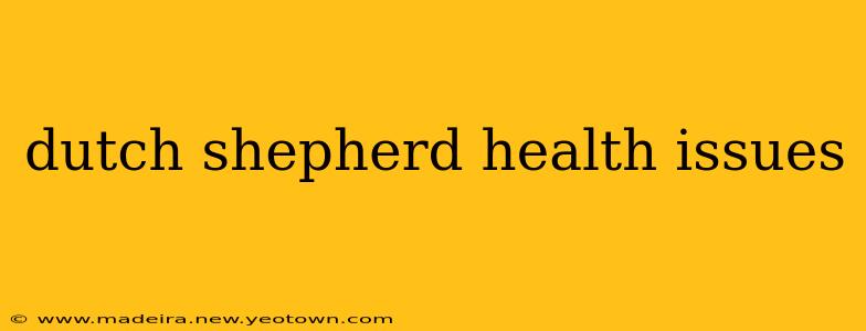 dutch shepherd health issues