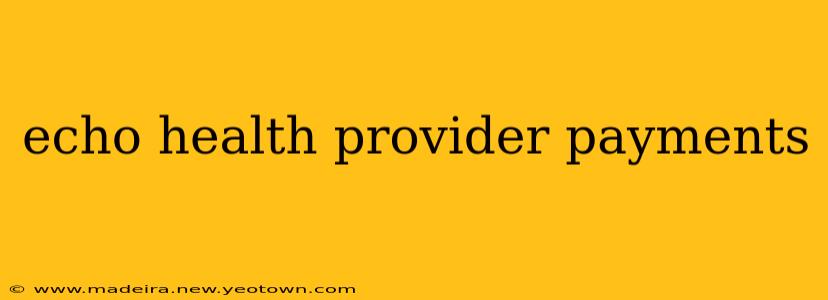 echo health provider payments