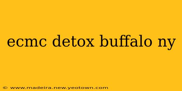 ecmc detox buffalo ny