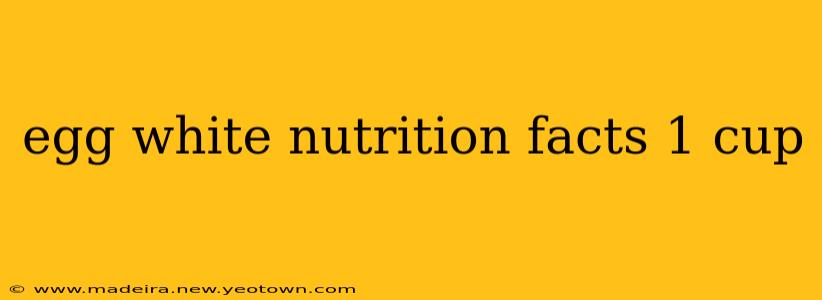 egg white nutrition facts 1 cup
