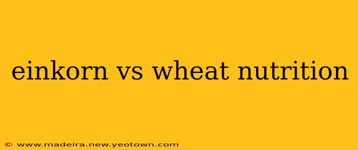einkorn vs wheat nutrition